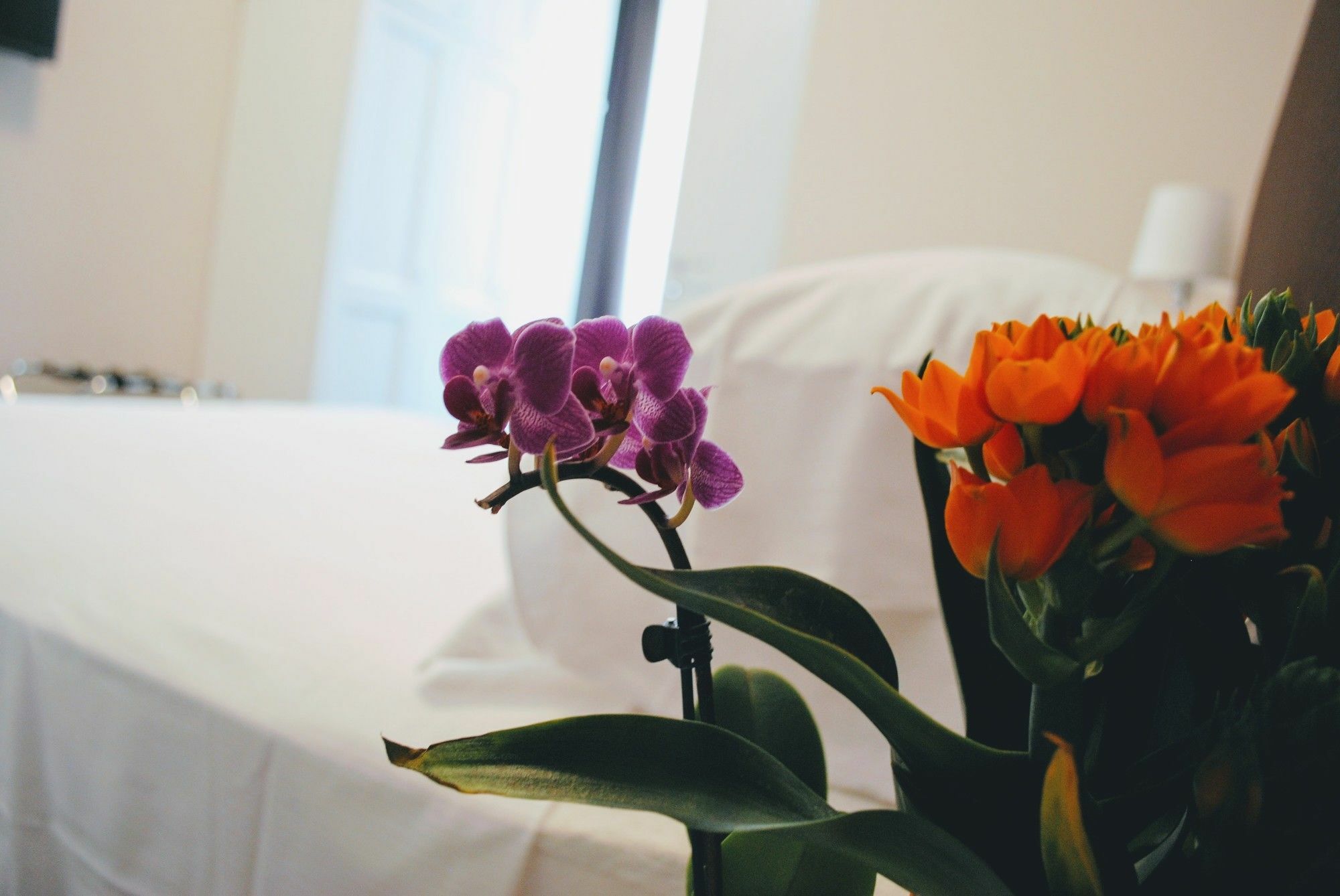 Guest House Cavour 278 Ρώμη Εξωτερικό φωτογραφία